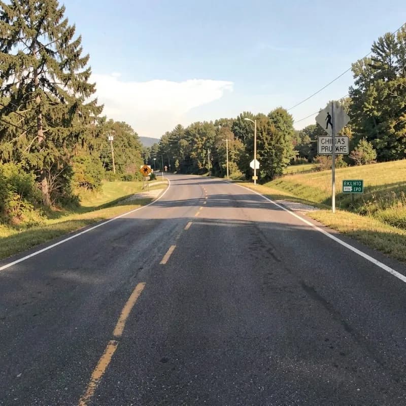 A Road That Feels Like Home